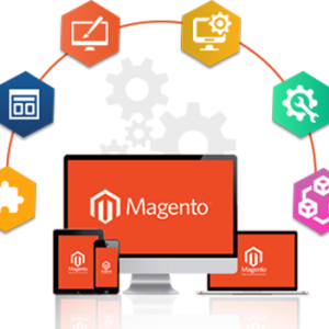 Magento Website Development